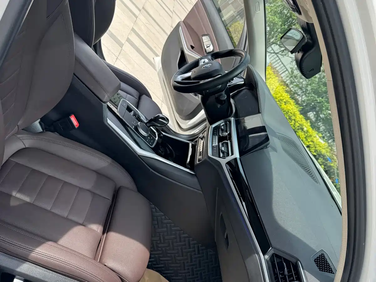 BMW 3 Series 2020 325Li Launch Edition фото 9