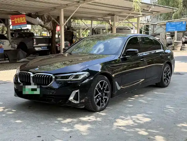  BMW BMW 5 Series New Energy 2021 535Le Luxury Package