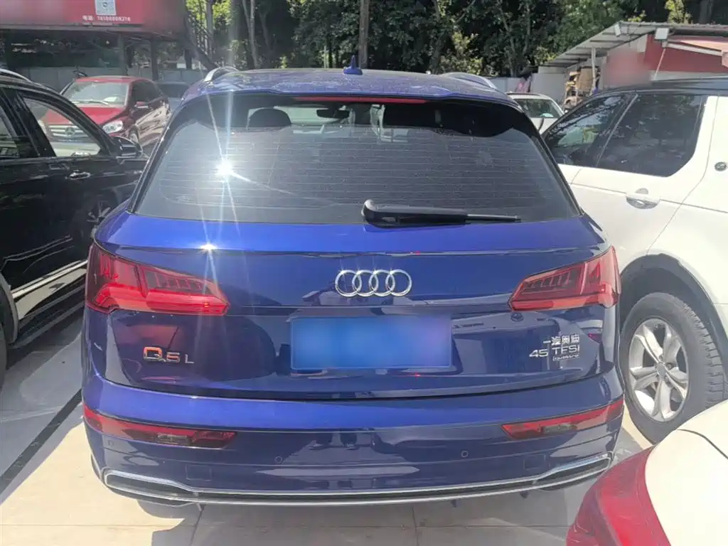 Audi Q5L 2018 45 TFSI Exclusive Fashion (China V) фото 6