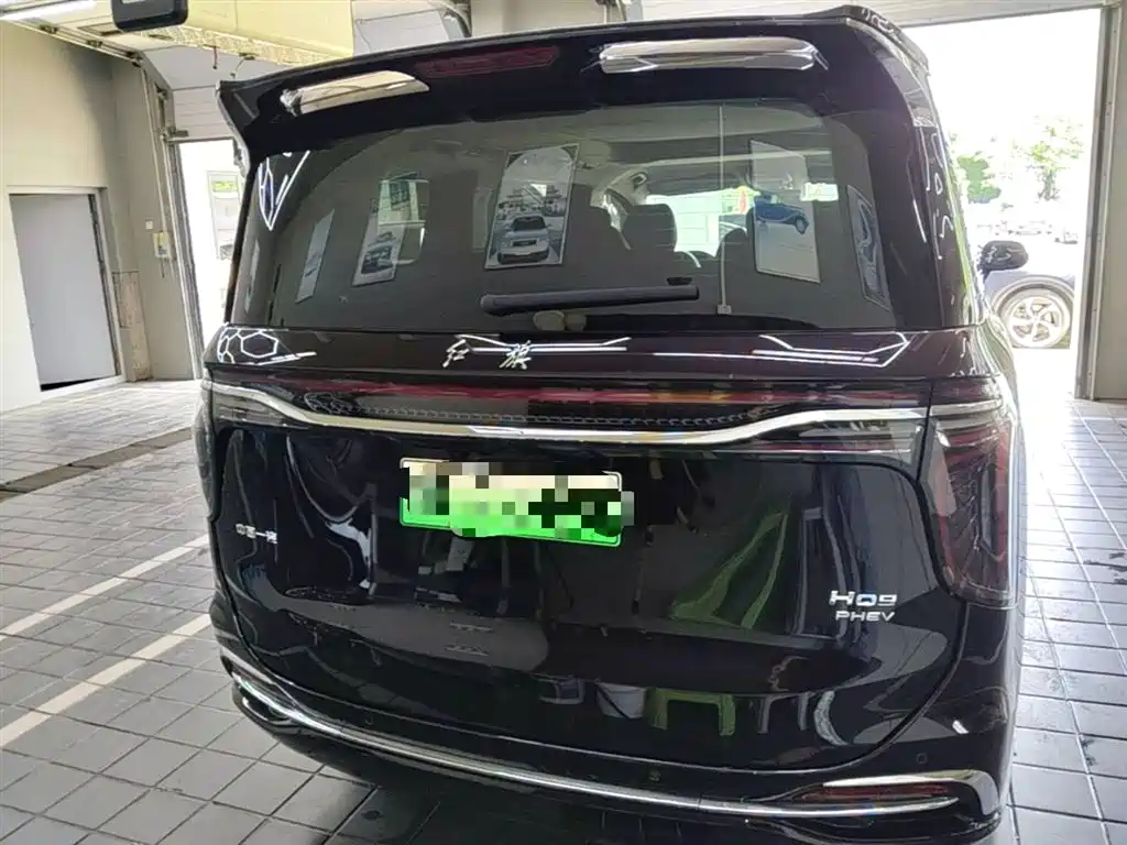 Hongqi HQ9 PHEV 2024 Model 2.0T AWD Luxury Edition фото 10