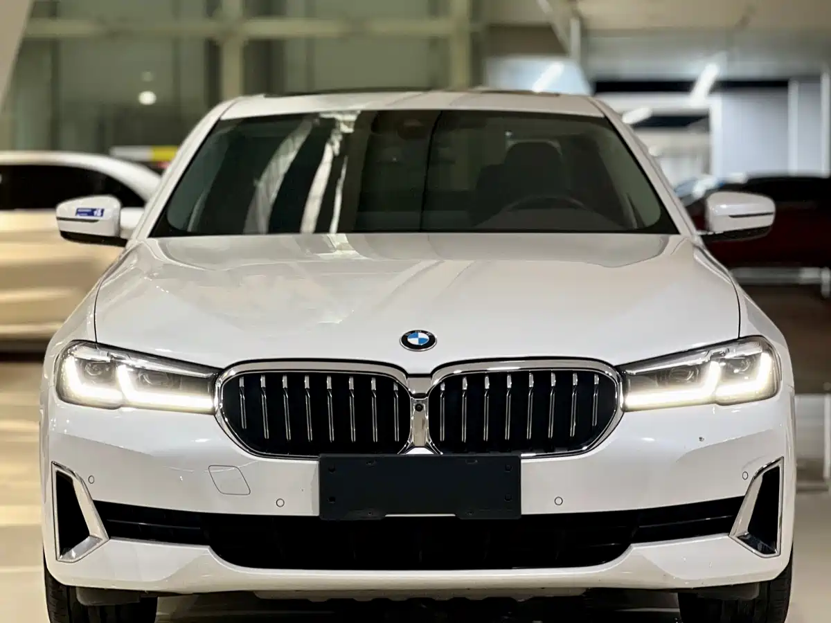 BMW 5 Series 2021 530Li Leading Luxury Package фото 2