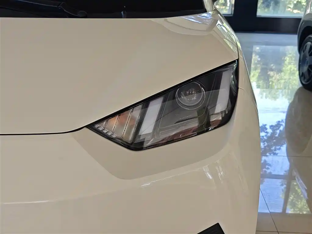 BYD Seagull 2025 305km Vitality фото 24
