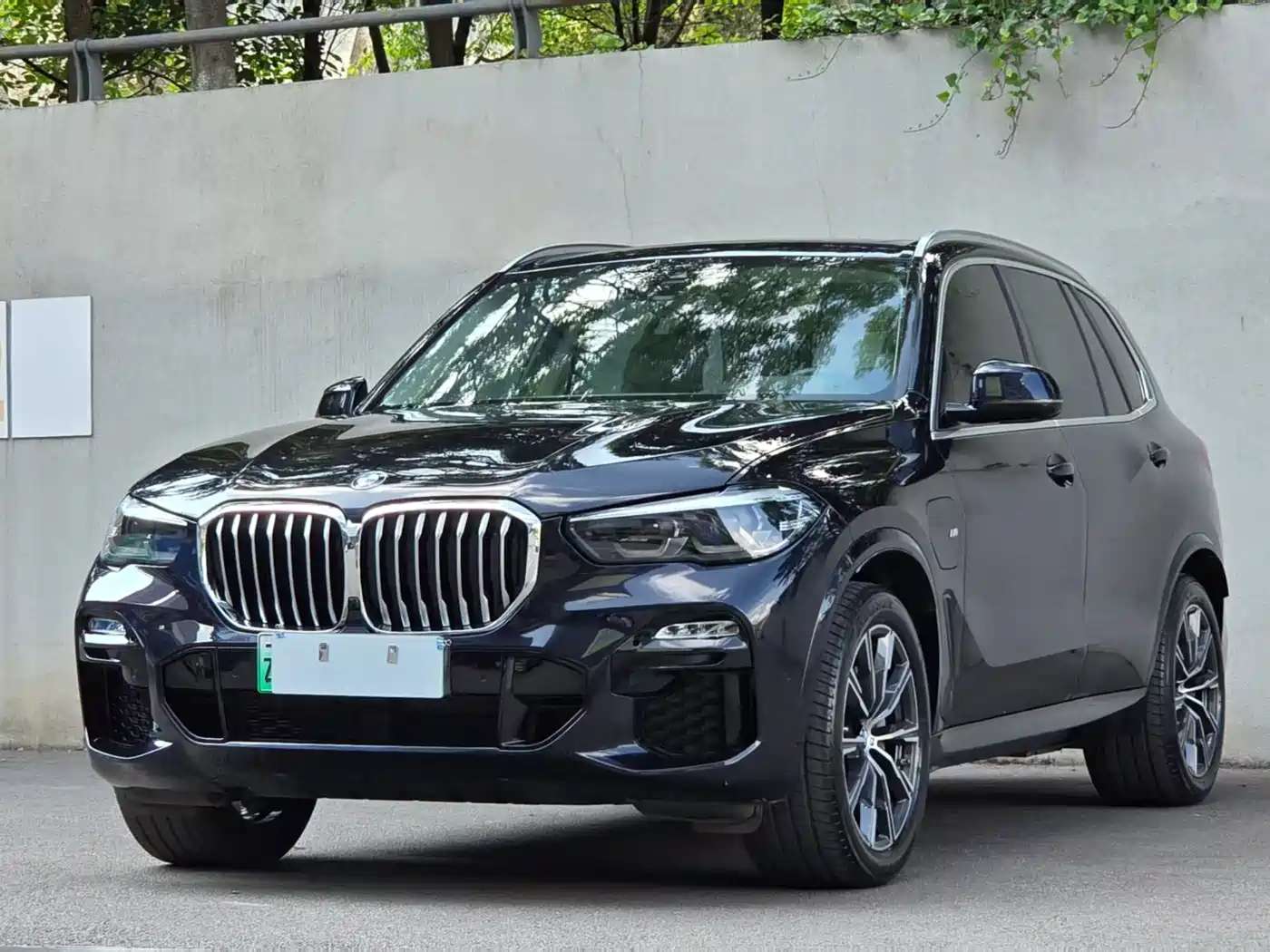 BMW X5 New Energy(Imported) 2020 xDrive45e M Sport Package фото 45