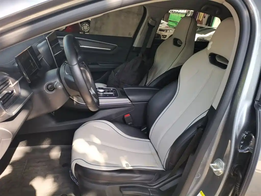 BYD Destroyer 05 2024 Glory Edition DM-i 55KM Luxury фото 15