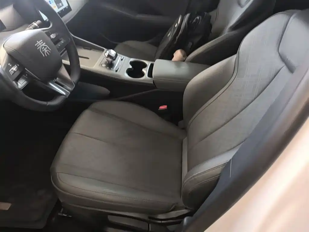 BYD Qin PLUS 2025 DM-i Smart Drive 55KM Leader фото 15