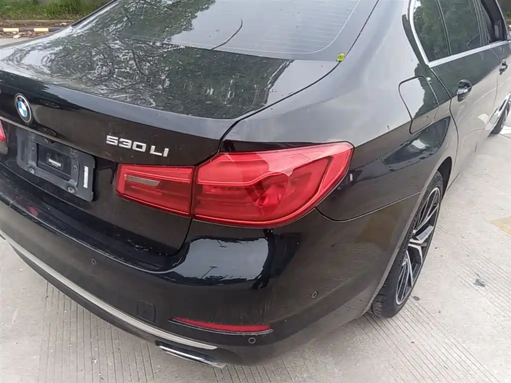 BMW 5 Series 2019 Facelift 530Li Premium Luxury Package фото 8