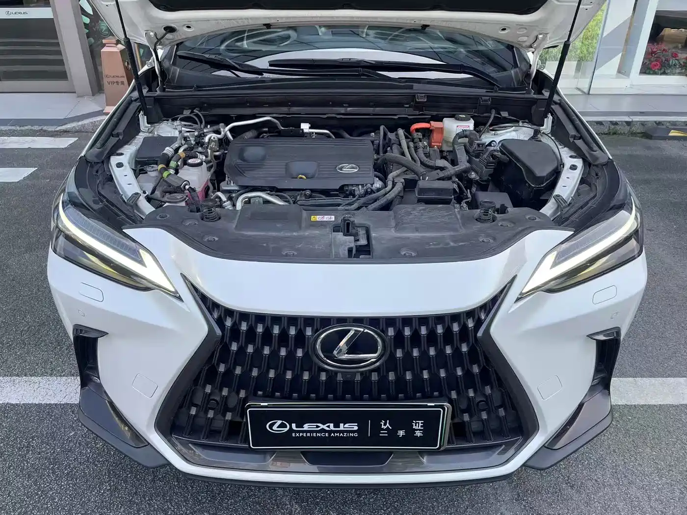 Lexus NX New Energy 2022 2022 400h+ Premium Edition