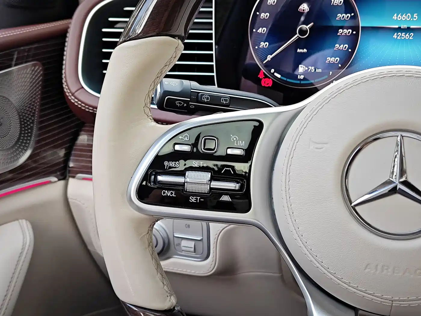 Mercedes-Benz Maybach GLS 2021 GLS 480 4MATIC фото 15