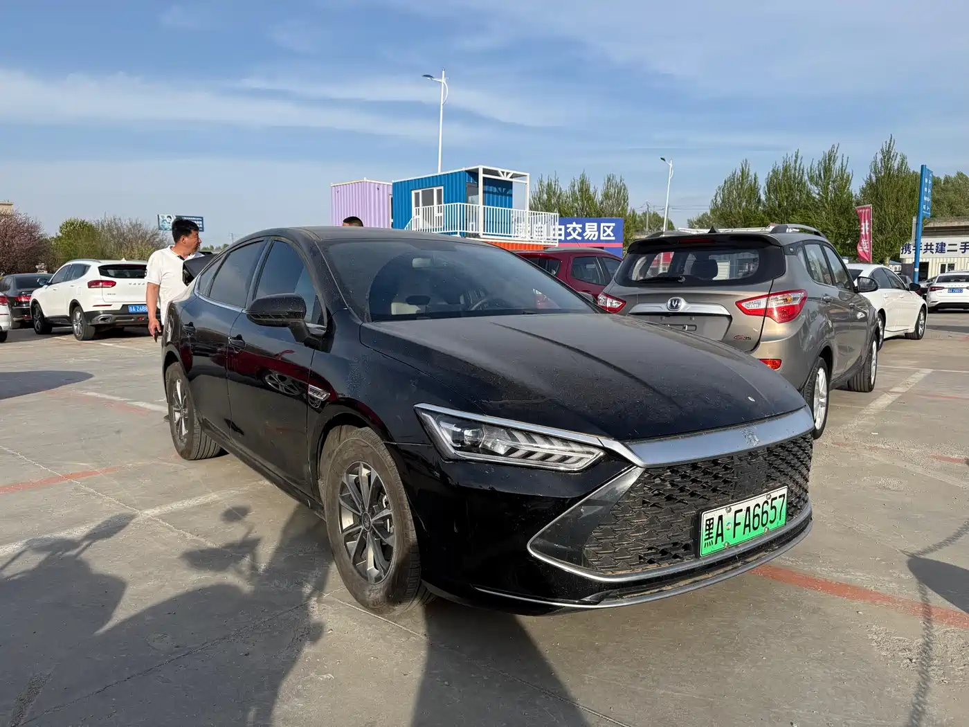 BYD Qin PLUS 2024 Glory Edition DM-i 55KM Leading фото 3