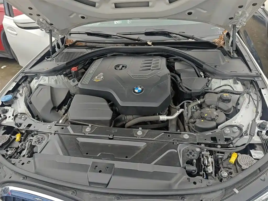 BMW 3 Series 2021 325Li M Sport Package фото 20