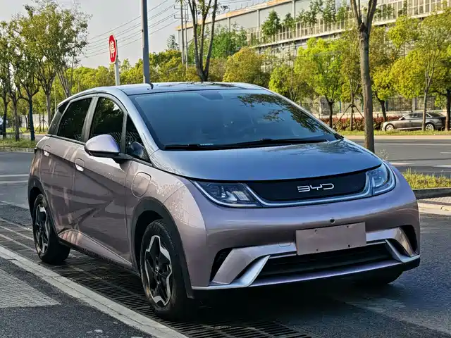 BYD Dolphin 2021 Model 405km Fashion Edition