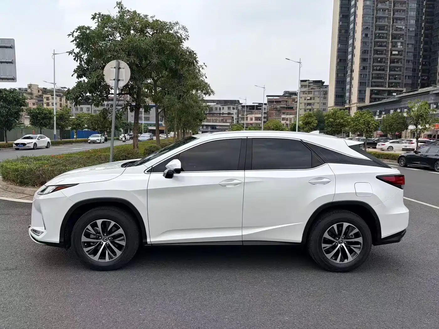 Lexus RX 2020 Facelift 300 2WD Elite Edition фото 3