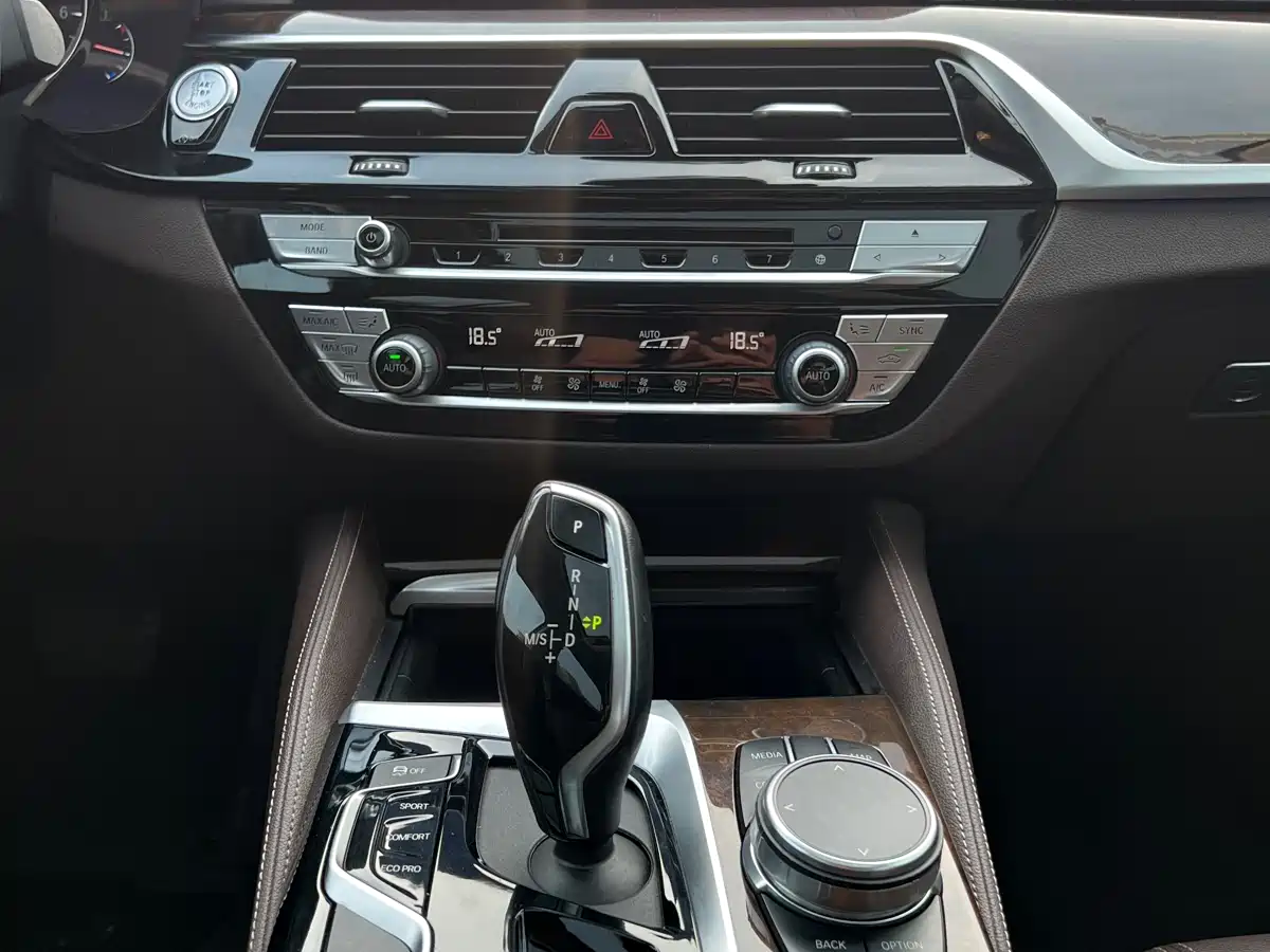 BMW 5 Series 2019 525Li Luxury Package фото 13