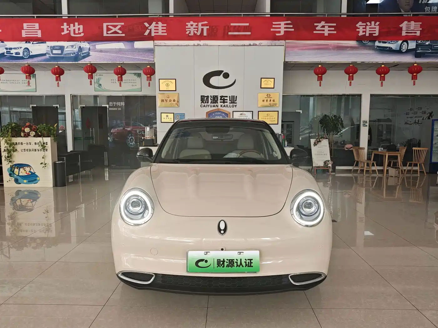 Ora Good Cat 2022 2022 400km Standard Range Premium LFP