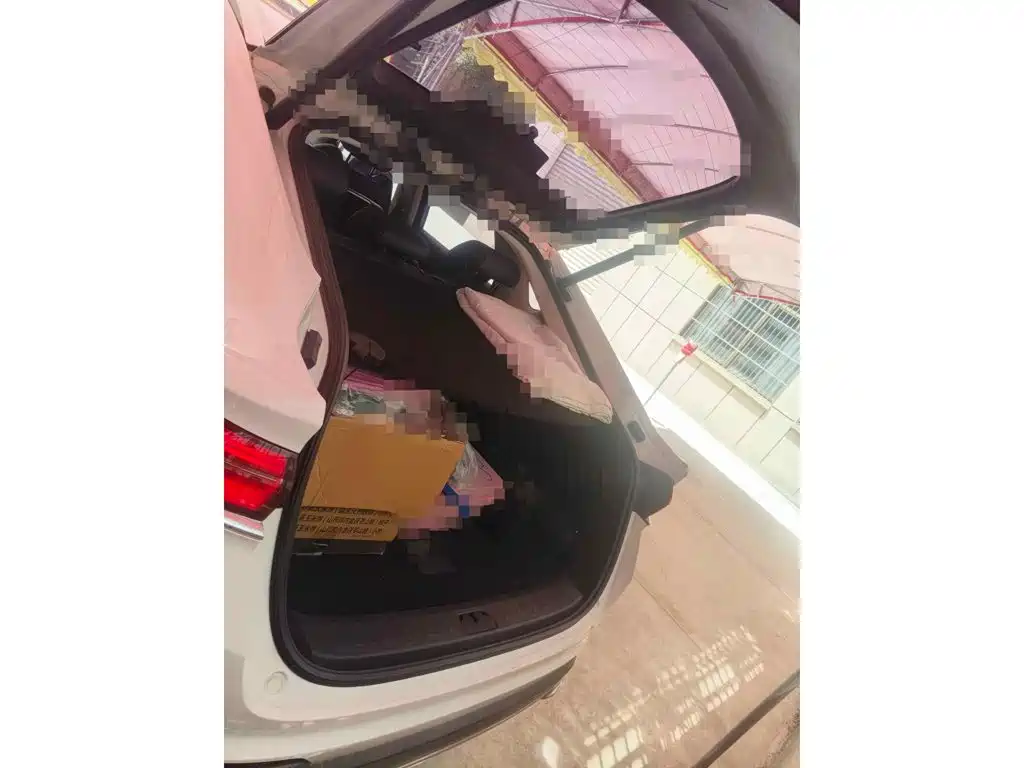 Geely Xingyue 2021 2020 High Energy Edition 300T Shining Star