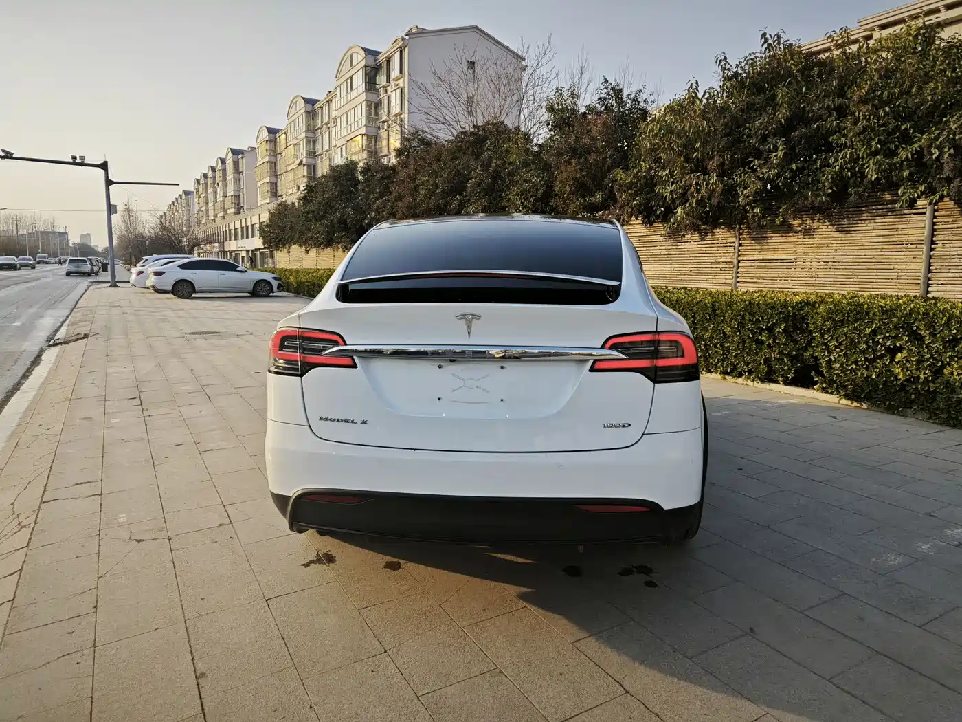 TESLA MODEL X