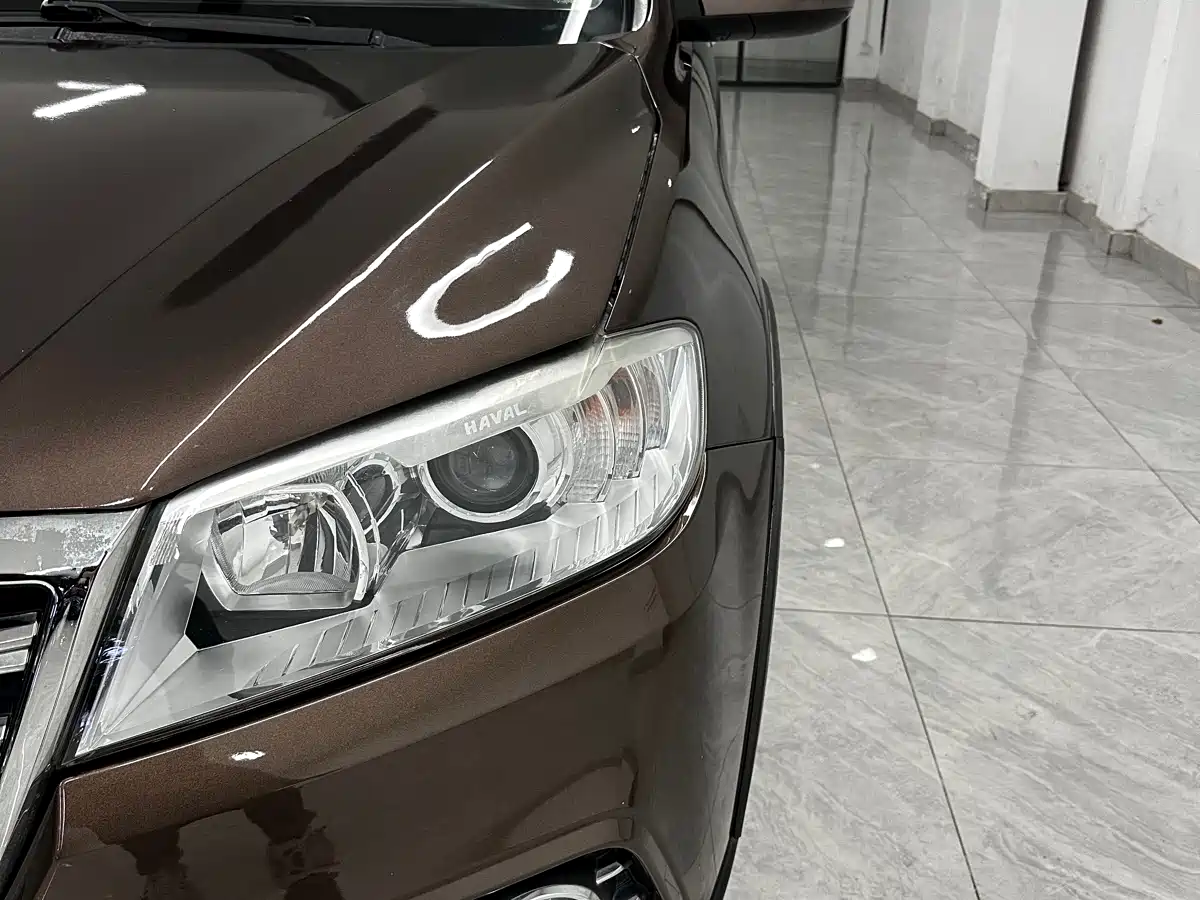 Haval H6 2018 Blue Label Sport 1.5T Automatic 2WD Elite фото 13