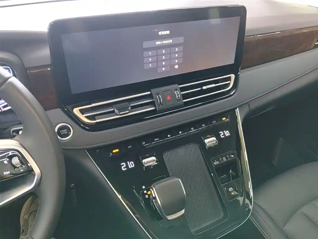 Hongqi HQ9 PHEV 2024 Model 2.0T AWD Luxury Edition фото 20