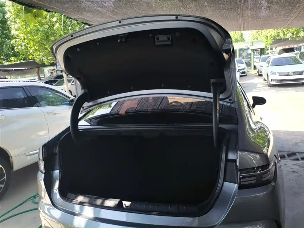 BYD Destroyer 05 2024 Glory Edition DM-i 55KM Luxury фото 19
