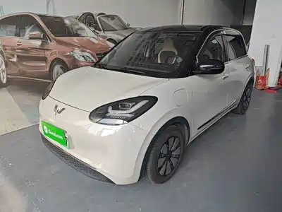 Wuling Bingo