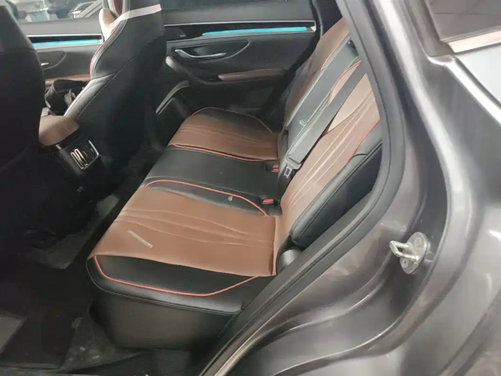 BYD Song PLUS 2020 1.5T Automatic Flagship фото 24