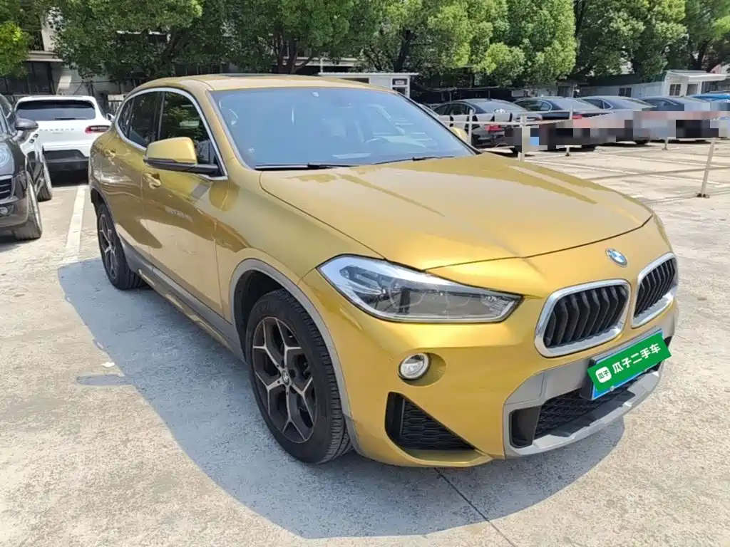 BMW X2 (Import) 2019 2019 sDrive20i M Off-Road Package China VI