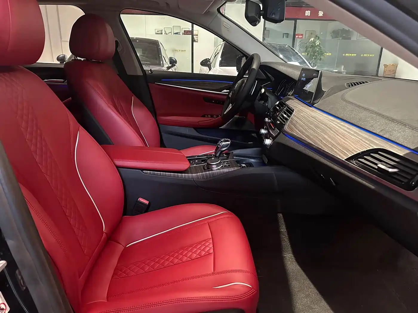 BMW 5 Series 2018 Facelift 530Li Leading Luxury Package фото 6