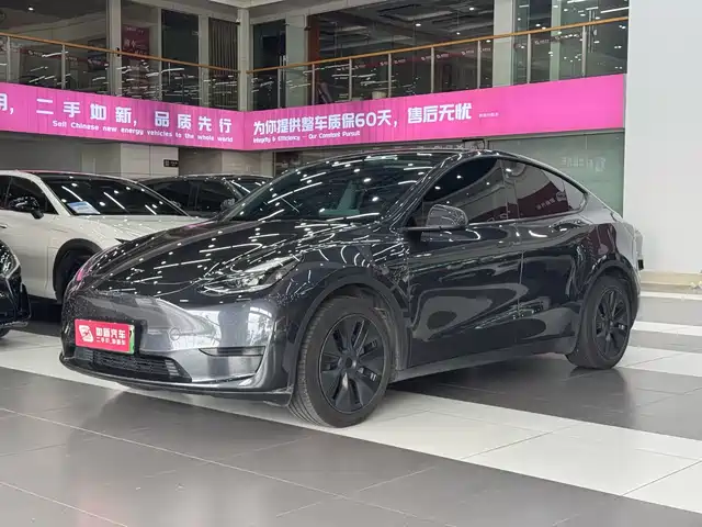 Tesla Model Y 2024 Rear-Wheel Drive Version — фото 1
