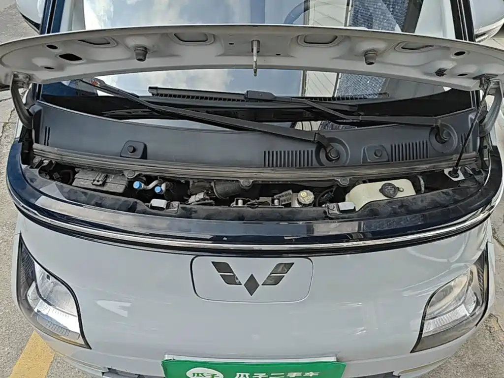 Wuling Motors Wuling Air ev 2024 2023 Model 2-Seater Standard Edition