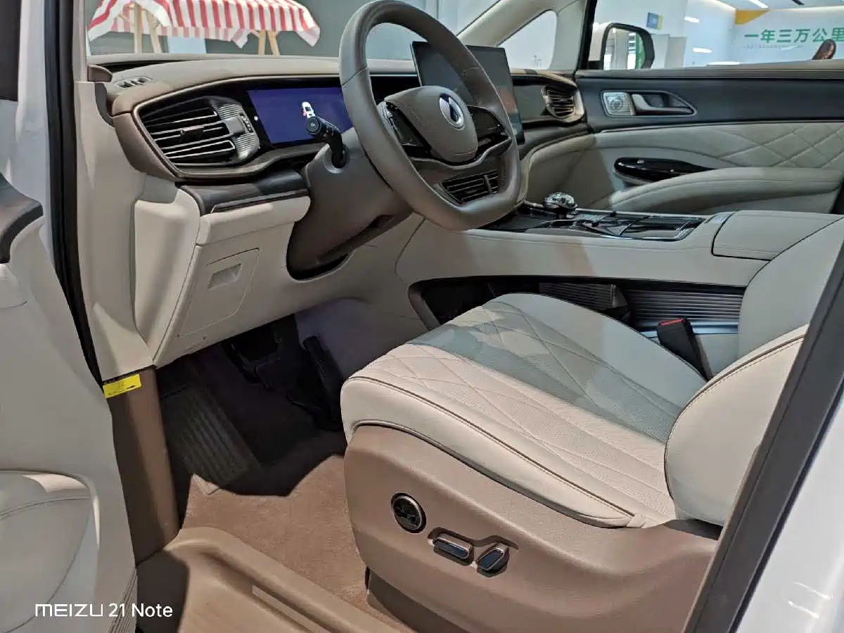 Denza D9 2022 DM-i 970 All-Wheel Drive Honor Edition фото 10