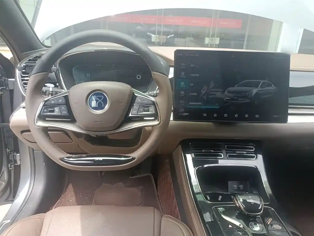 BYD Han 2021 EV Standard Range Luxury фото 10