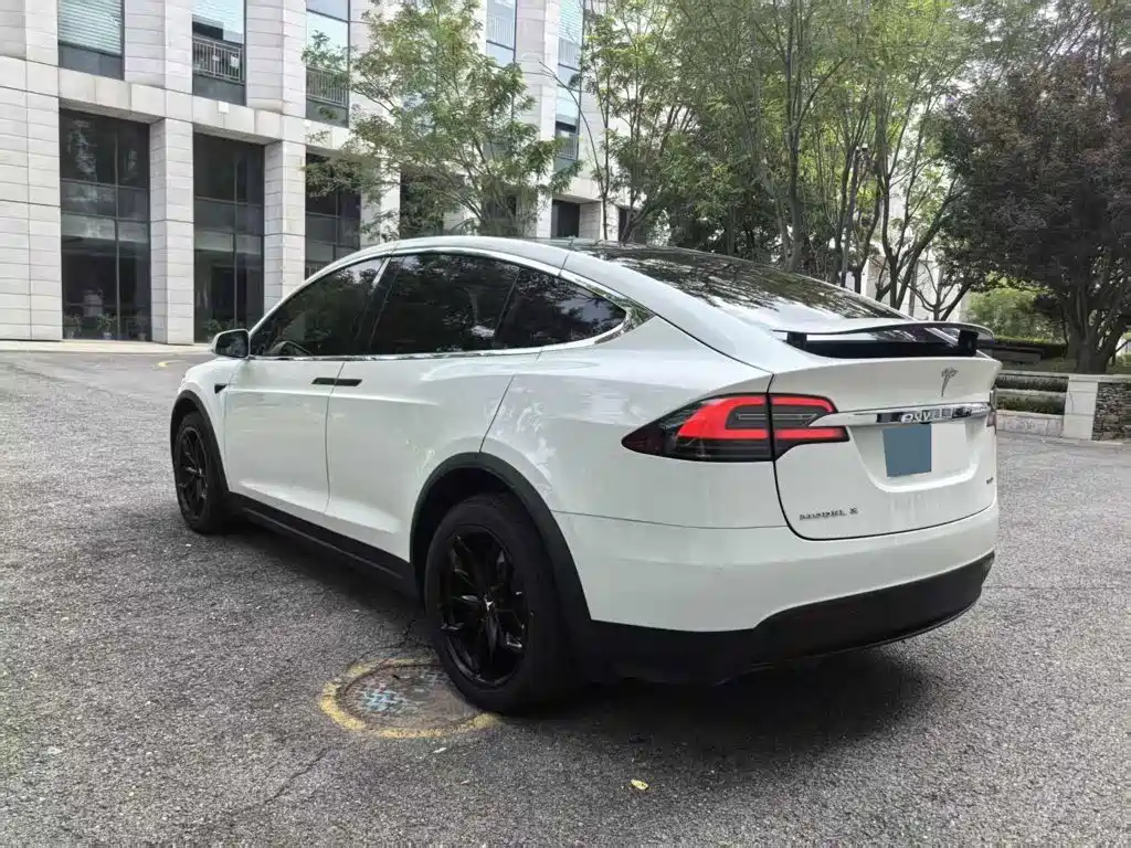 Tesla Model X 2017 2017 Model X 100D Long Range