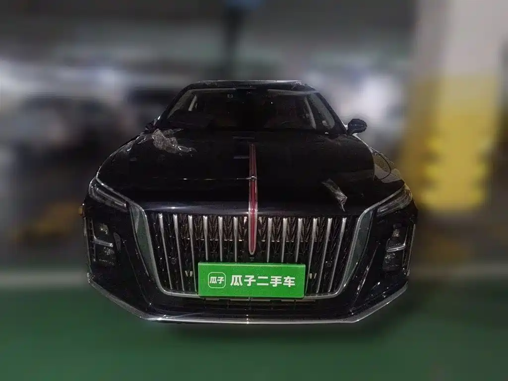 Hongqi H5 2025 2.0T Automatic Flag Celebration 500,000 Units Anniversary Edition фото 24