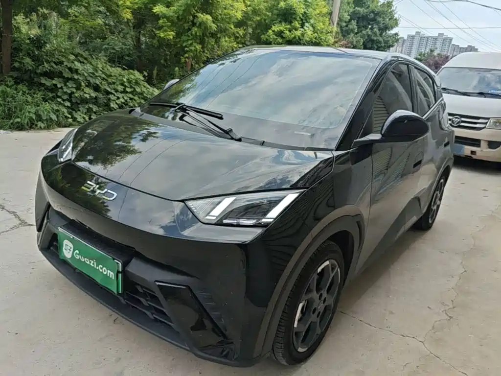 BYD Seagull 2025