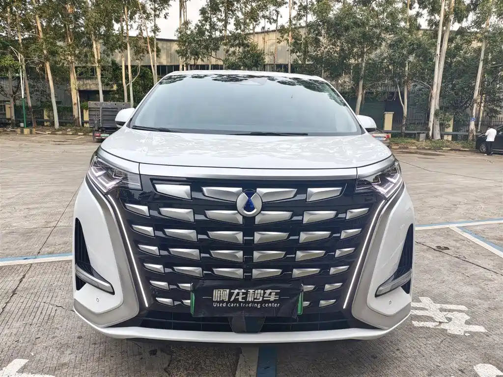 Denza D9 2025 2024 DM-i 980 AWD Prestige