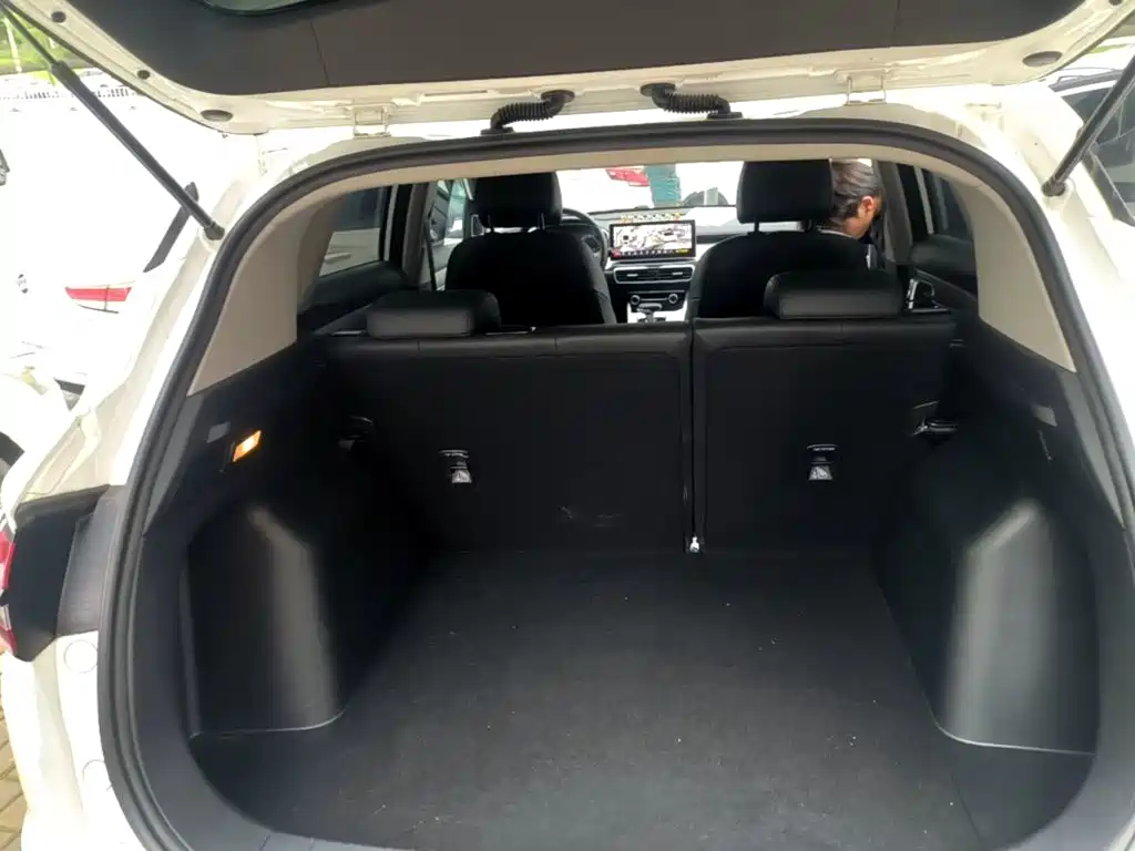 Geely Coolray 2024 2023 1.5T DCT Platinum Edition