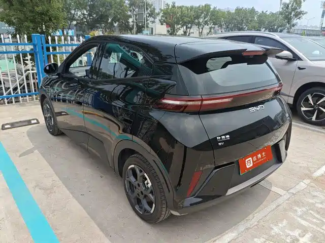 BYD Seagull 2025 Smart Drive Edition 305km Freedom Version — фото 3