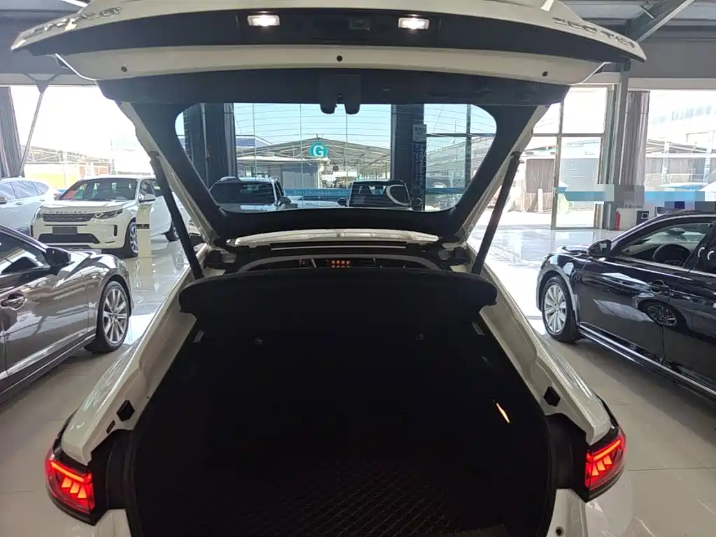 Volkswagen Lamando, миниатюра 19