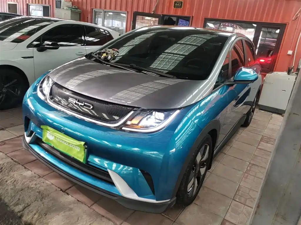 BYD Dolphin 2021 401km Knight Edition