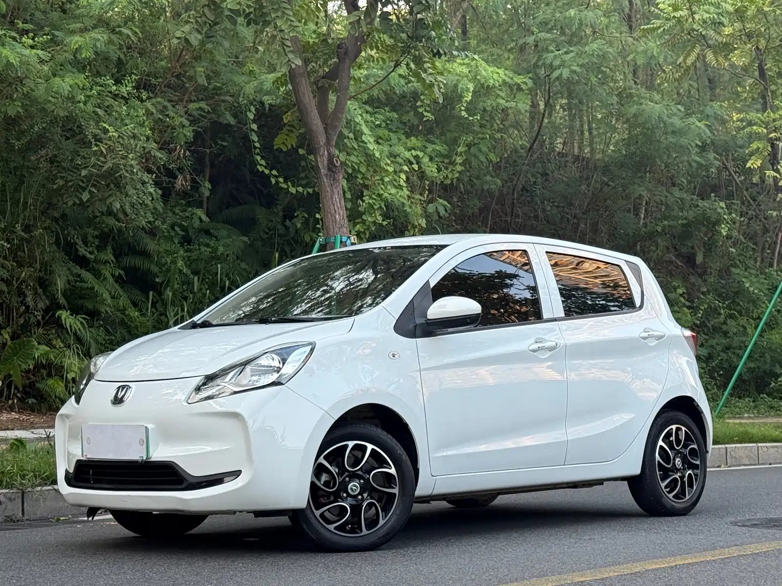 Photo 1 - Changan Benben E-Star
