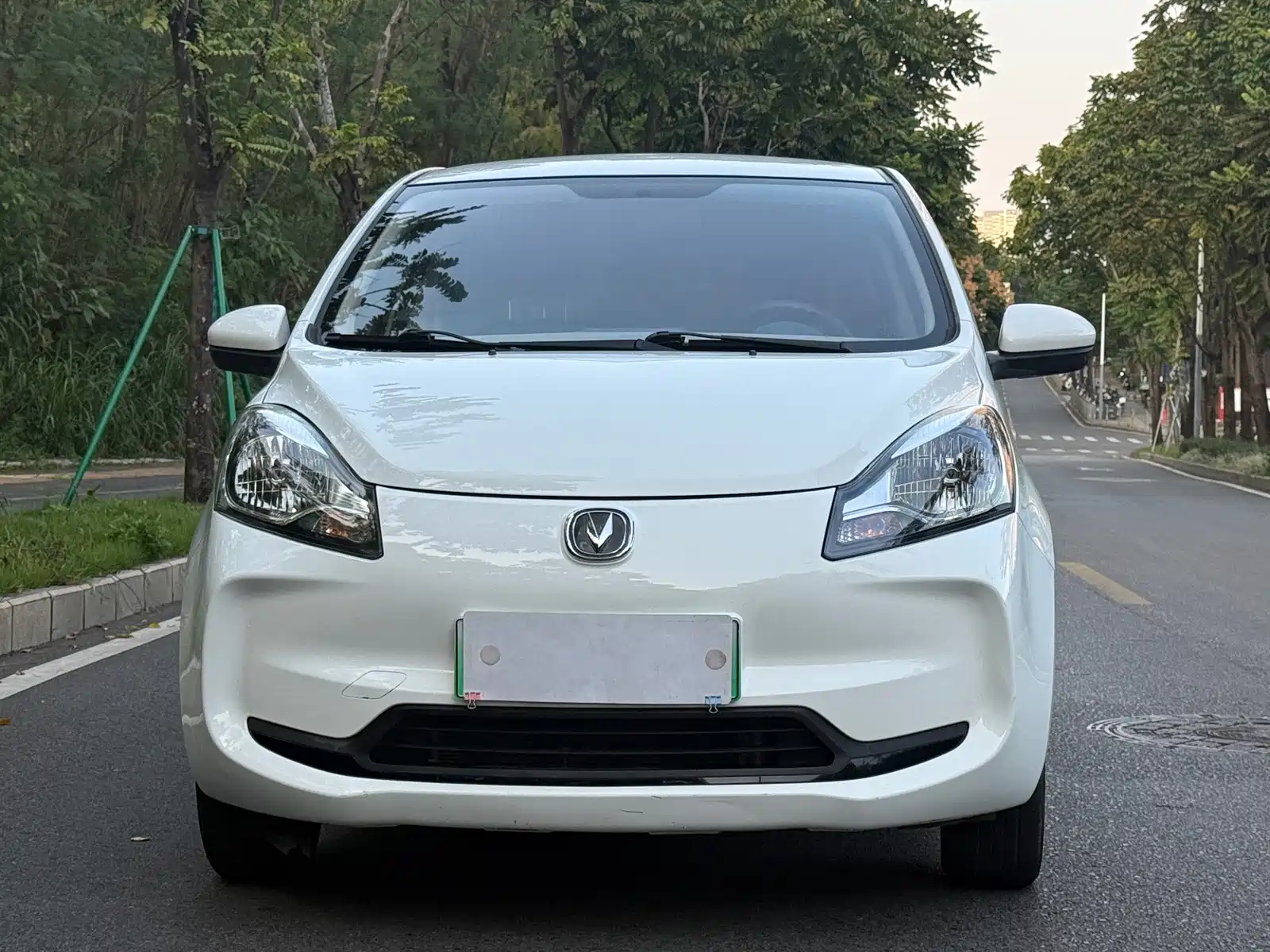 Photo 2 - Changan Benben E-Star