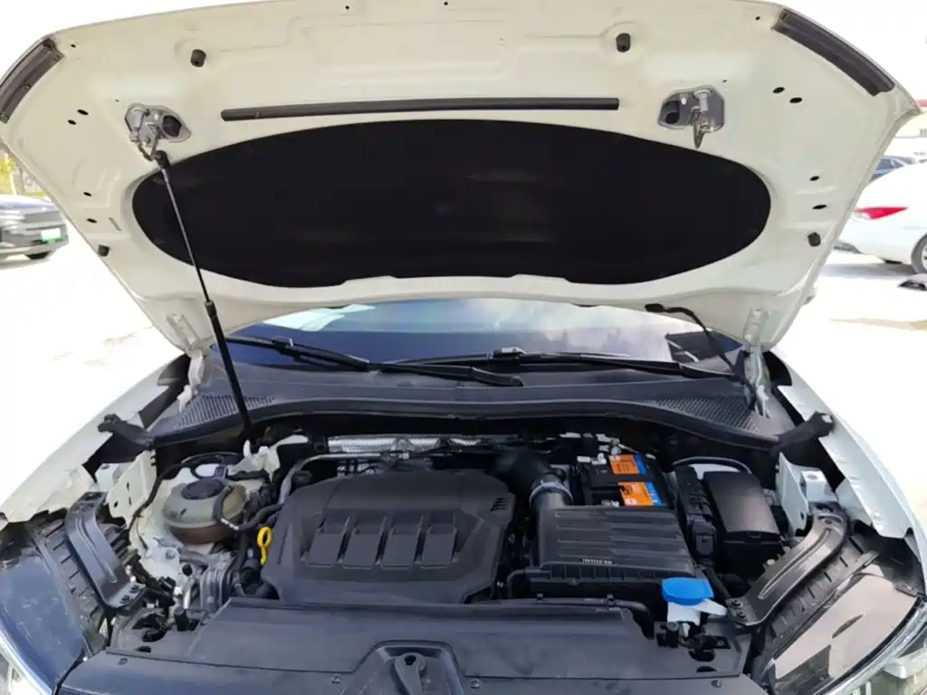 Фото 20 - Volkswagen Tayron