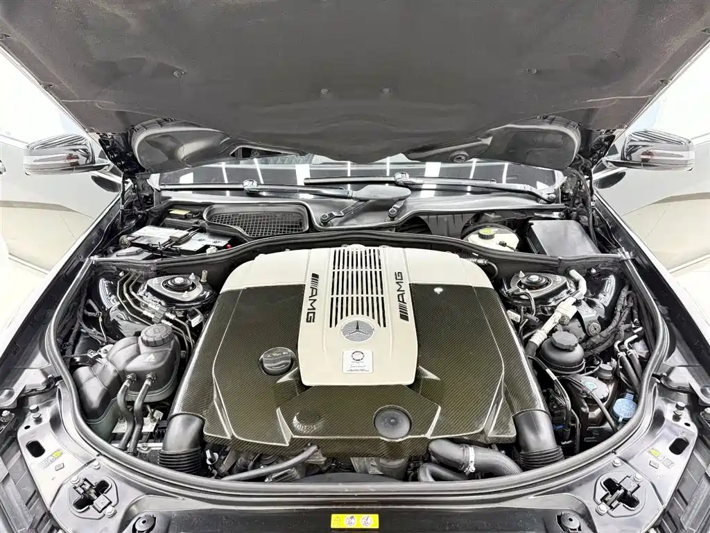 Mercedes-Benz S-Class AMG 2013 AMG S 65 L Grand Edition фото 22