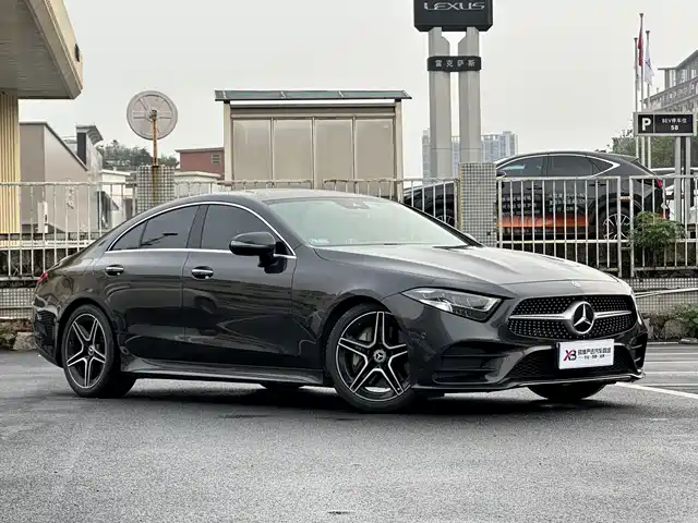 Mercedes-Benz CLS 2021 CLS 300 Luxury — фото 3