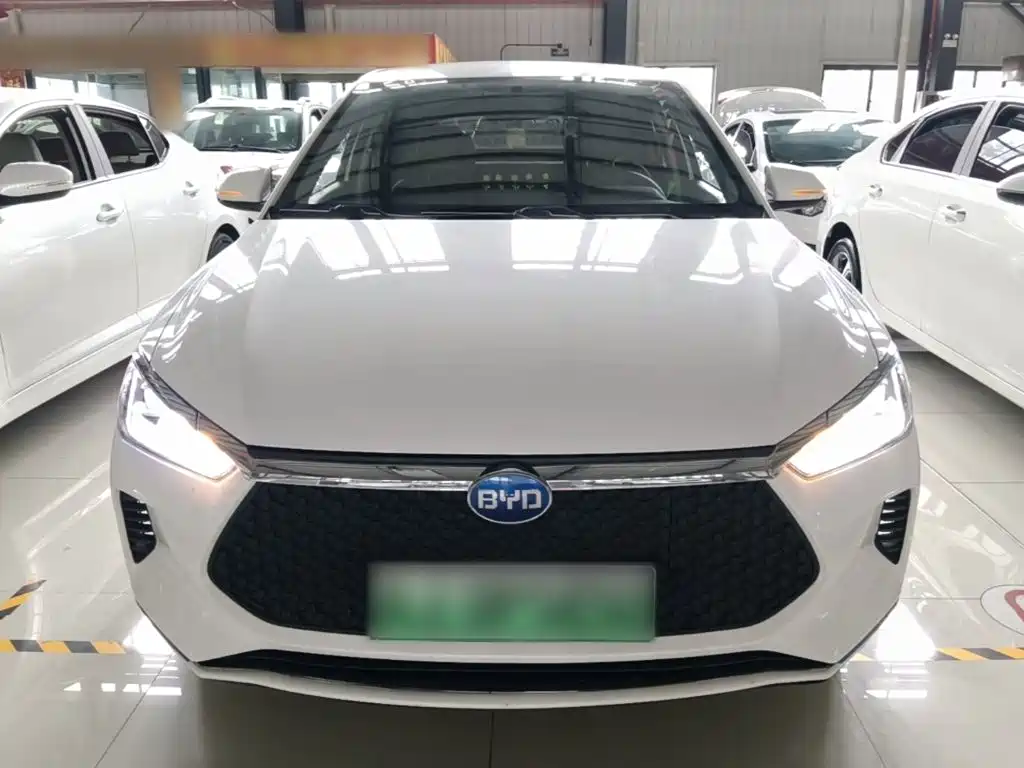 BYD e2 2020 2019 Standard Range Yue·Standard Model
