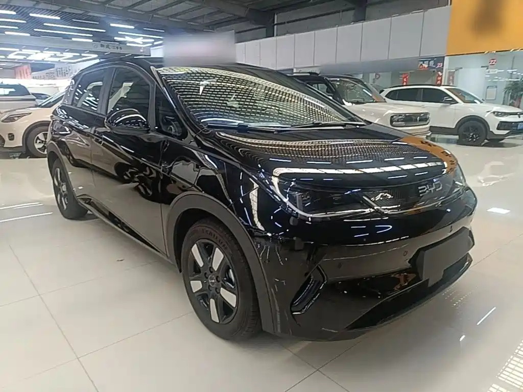 Фото 4 - BYD Dolphin