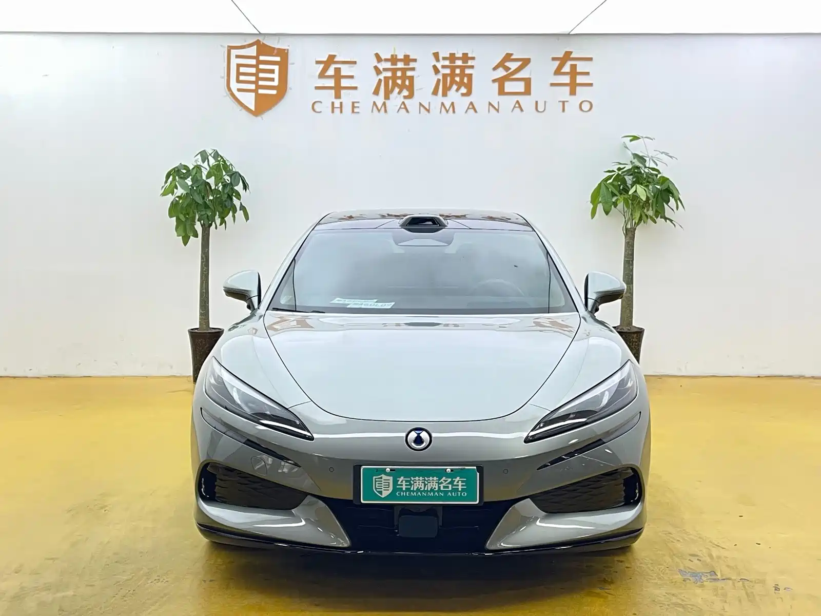 Фото 2 - Denza Z9GT