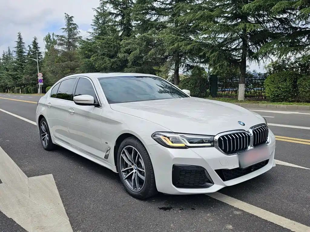 BMW 5 SERIES NEW ENERGY