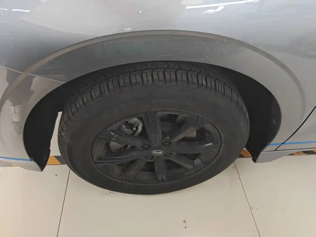 BYD e2 2022 2021 Luxury Edition
