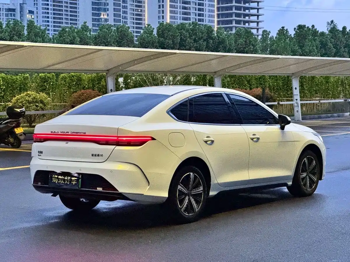 BYD Destroyer 05 2023 Champion Edition DM-i 120KM Premium фото 7